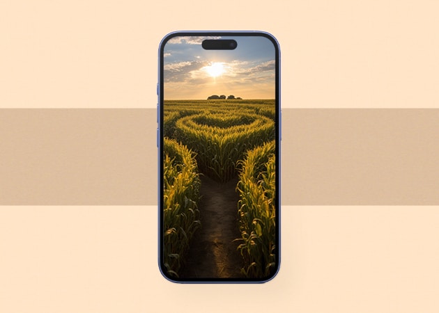 Corn maze Thanksgiving iPhone wallpaper.